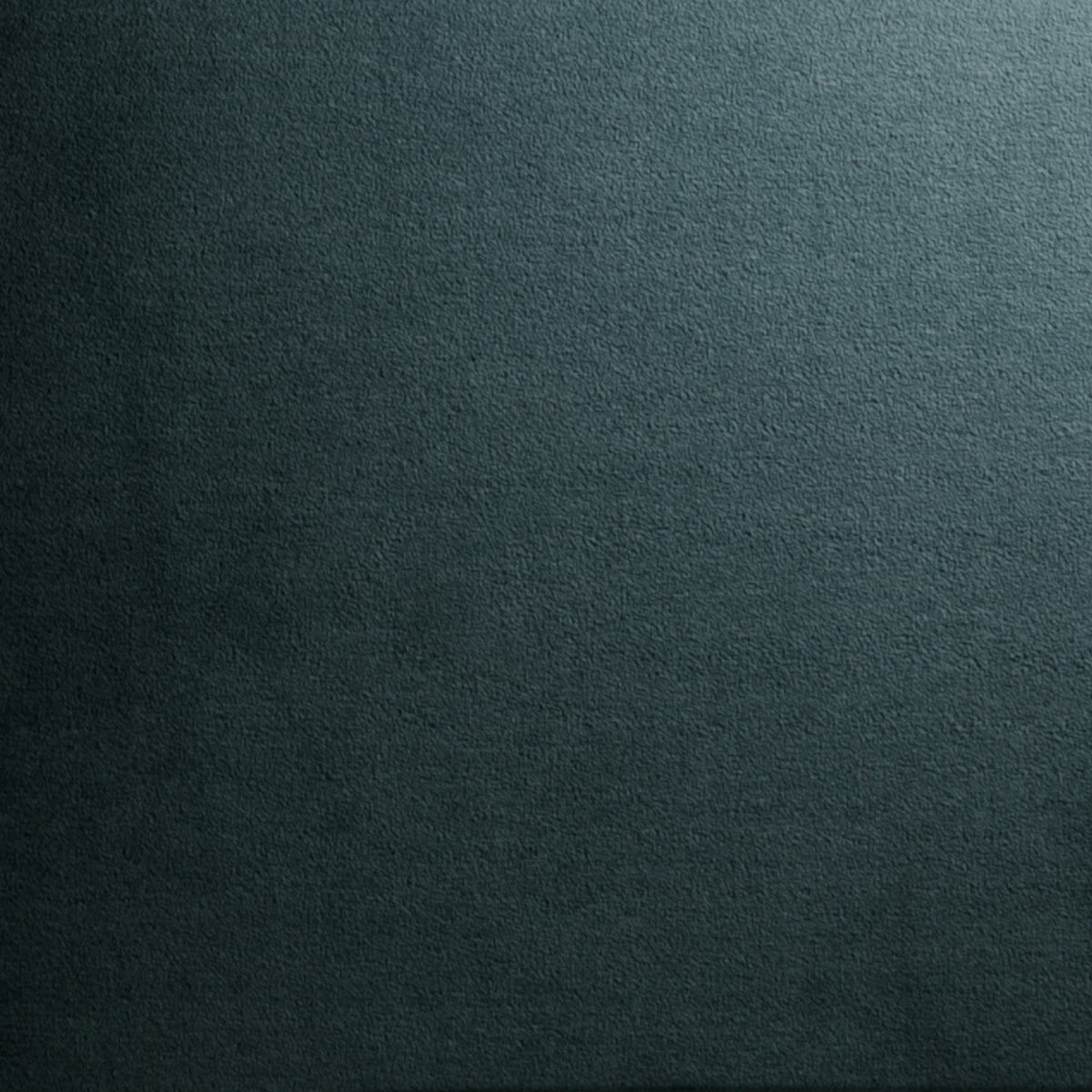 Notte Cotton Velvet