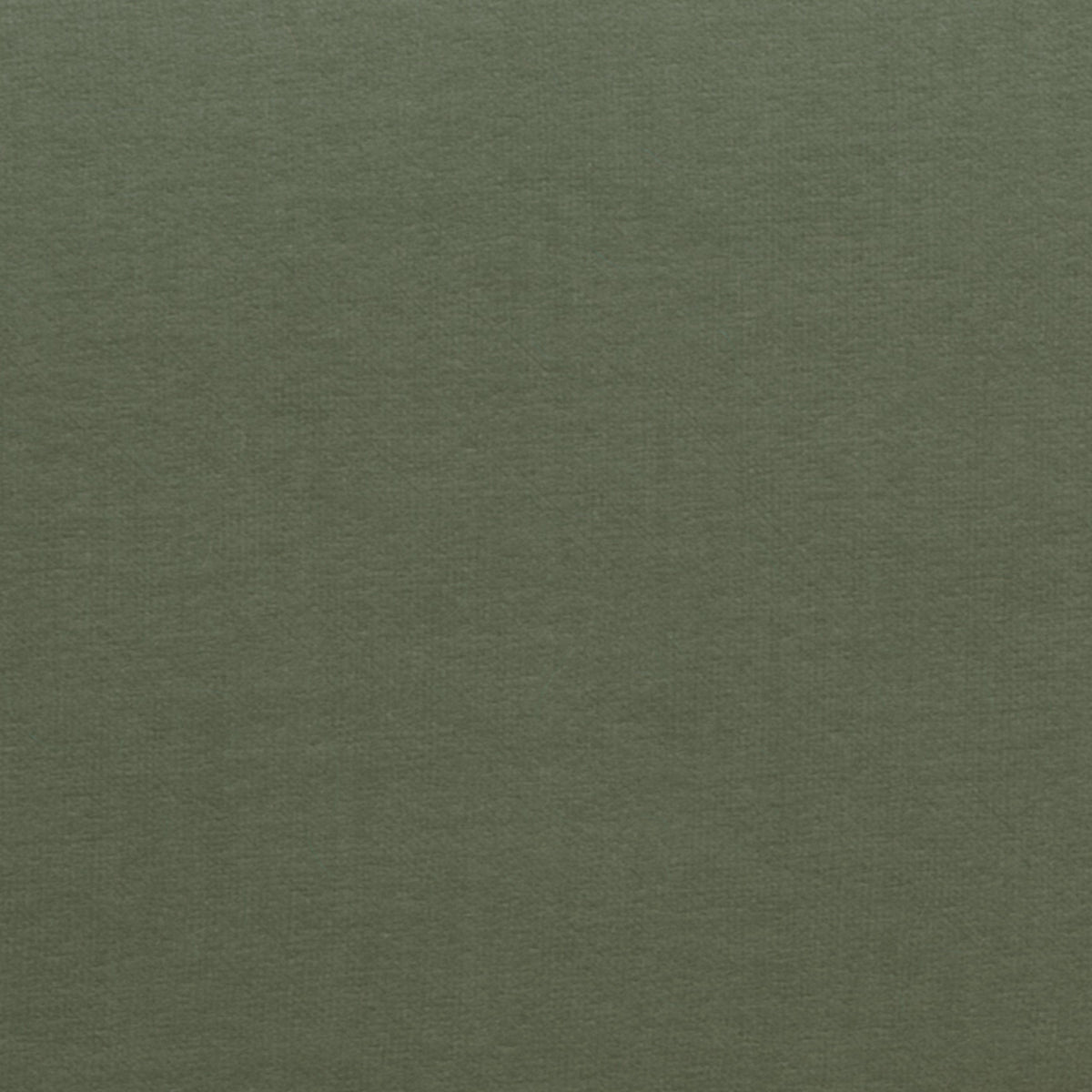 Alga Cotton Satin