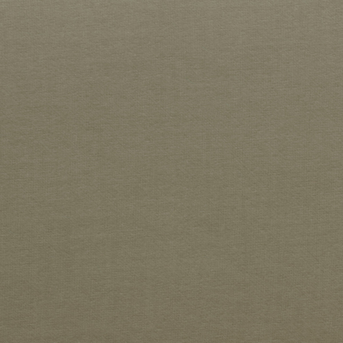 Fango Cotton Satin